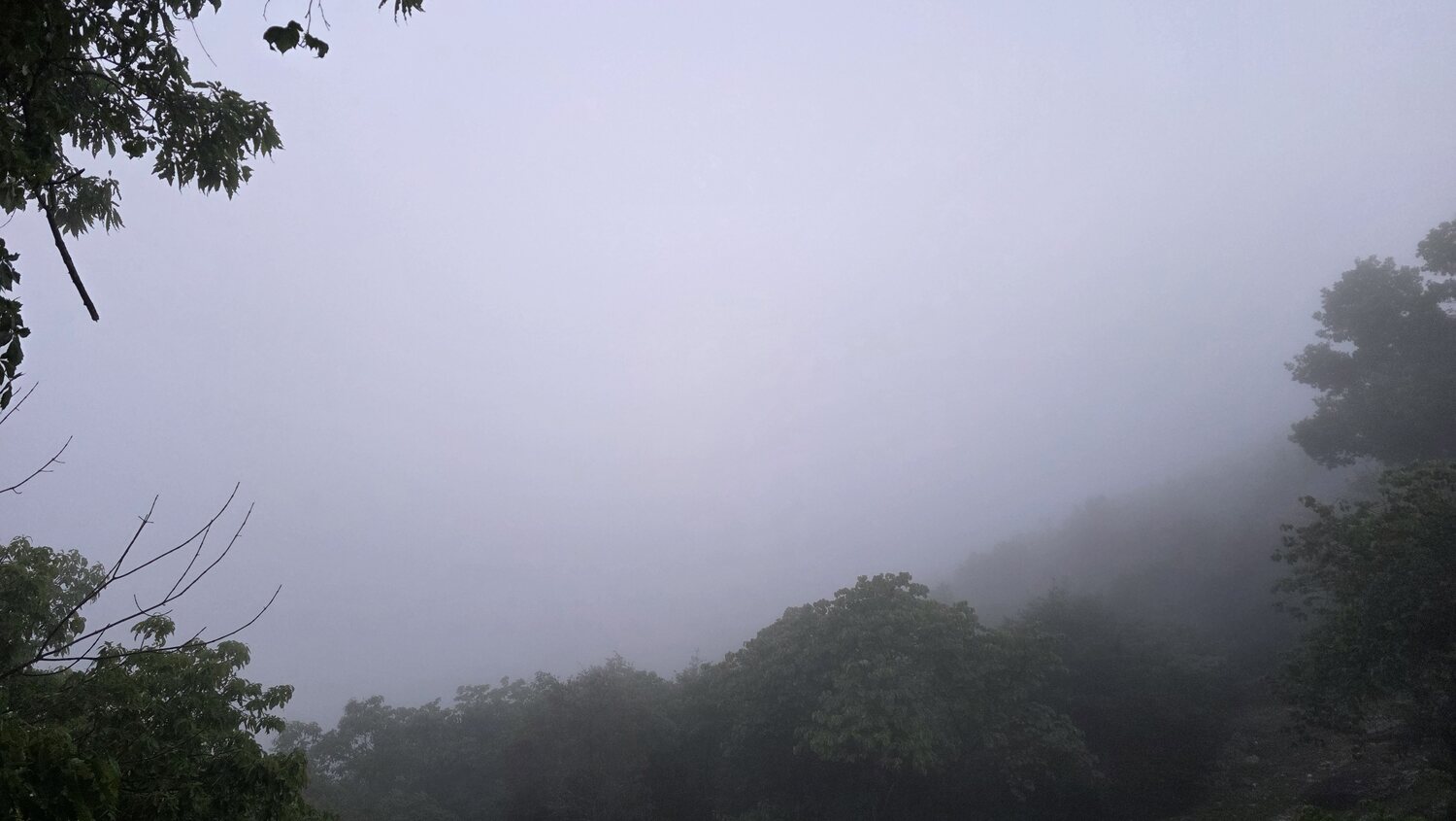 Soft dawn mist hanging over the Ozark valley before sunrise