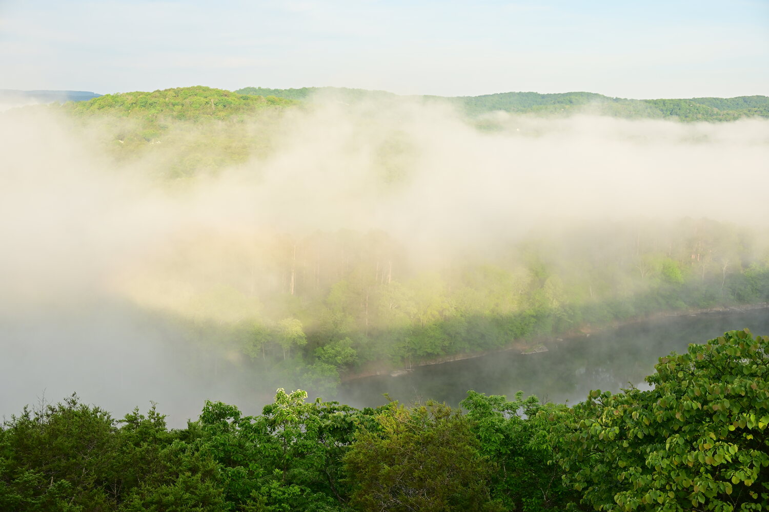 Thick fog rolling over a green Ozark hillside at sunrise