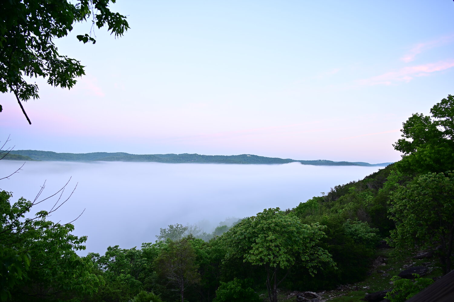 Morning mist drifting through the trees above the White River valley