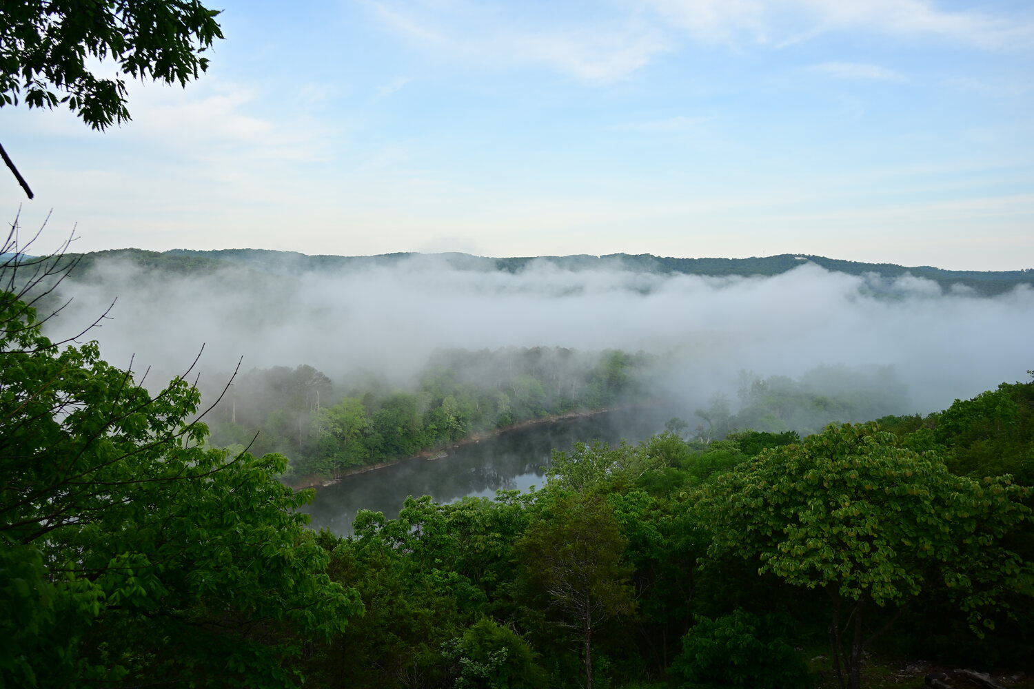Low fog clinging to the forested slopes above the White River at first light