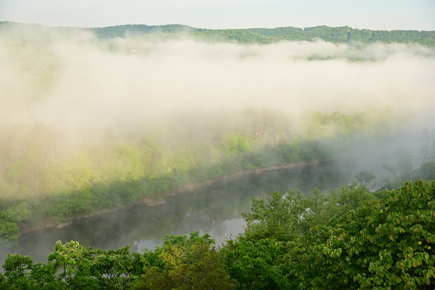 Fog filling the White River valley beneath a calm morning sky