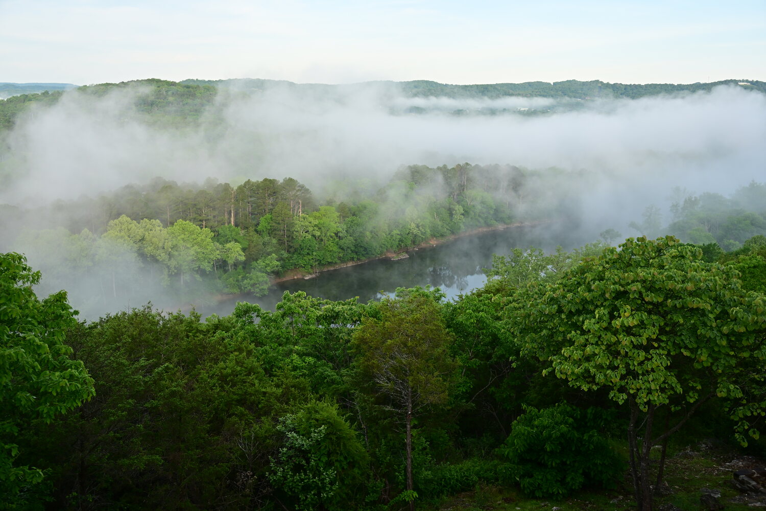 Detail of the layered limestone bluff the cabins overlook the White River from